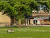 To view a larger version, click / tap on thumbnail Photo as per caption. Opens larger version.