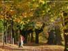 To view a larger version, click / tap on thumbnail Photo as per caption. Opens larger version.